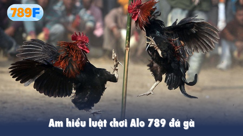 Am hiểu luật chơi Alo 789 đá gà