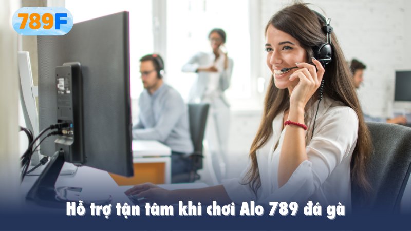 Hỗ trợ tận tâm khi chơi Alo 789 đá gà