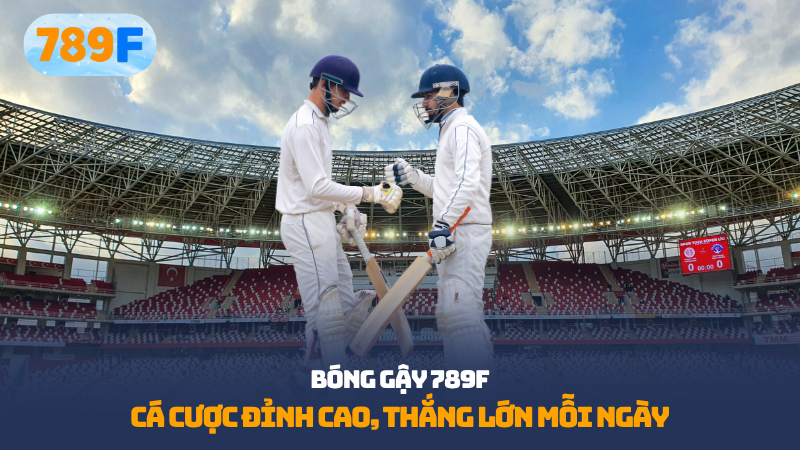 Bóng gậy 789F