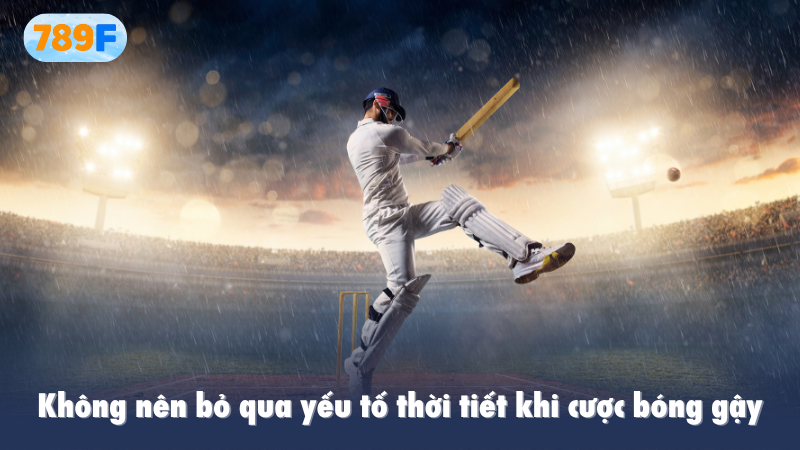 Không nên bỏ qua yếu tố thời tiết khi cược bóng gậy