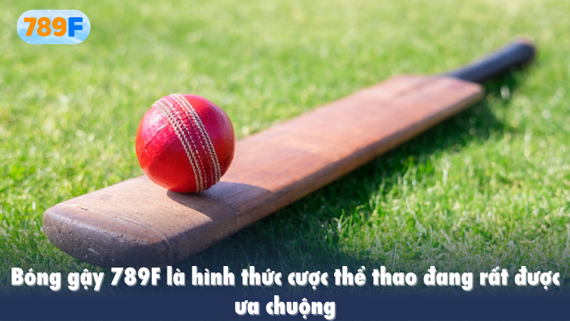 Bóng gậy 789F là hình thức cược thể thao đang rất được ưa chuộng